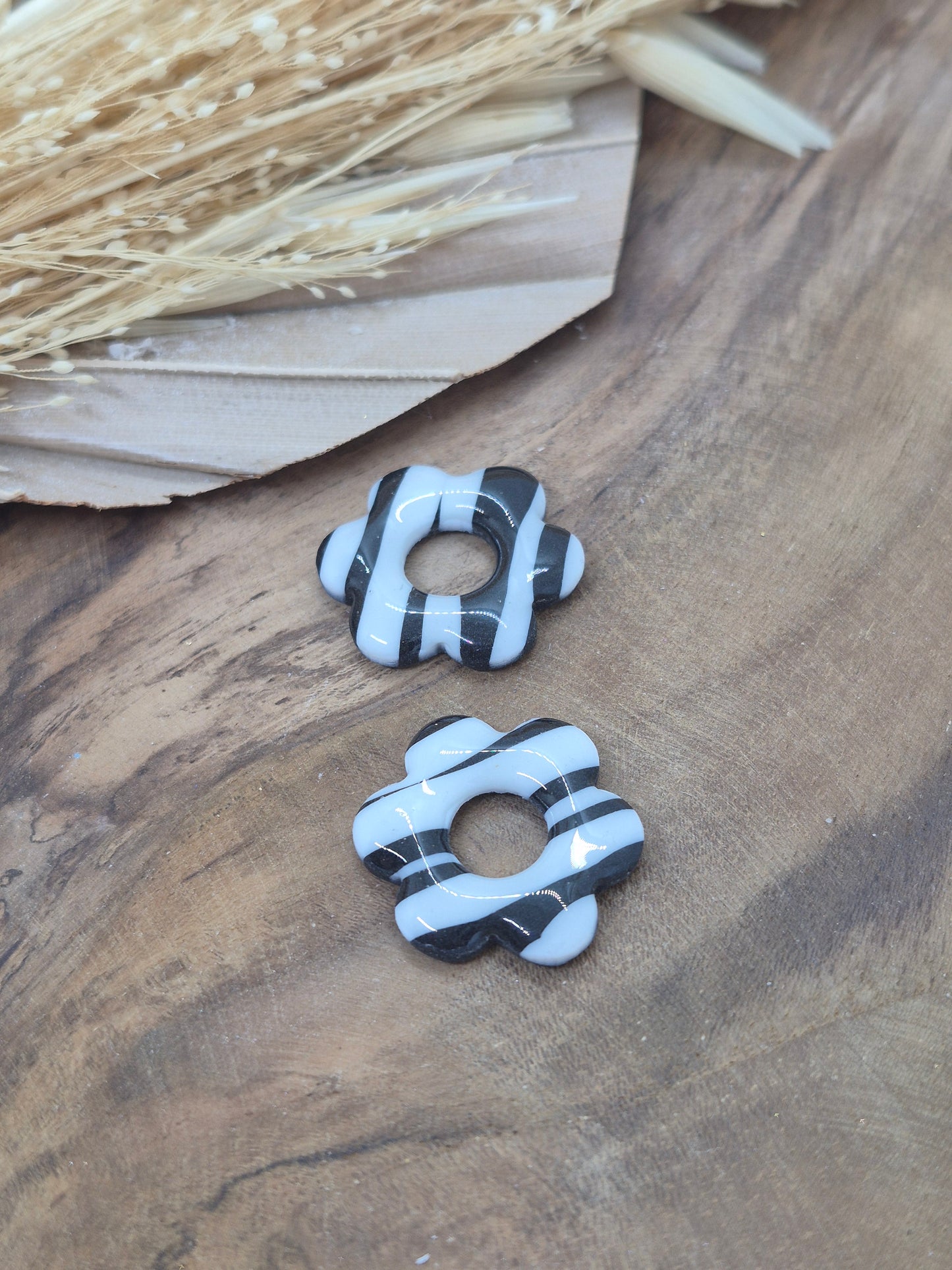 Pampille - FLORA - Zèbre